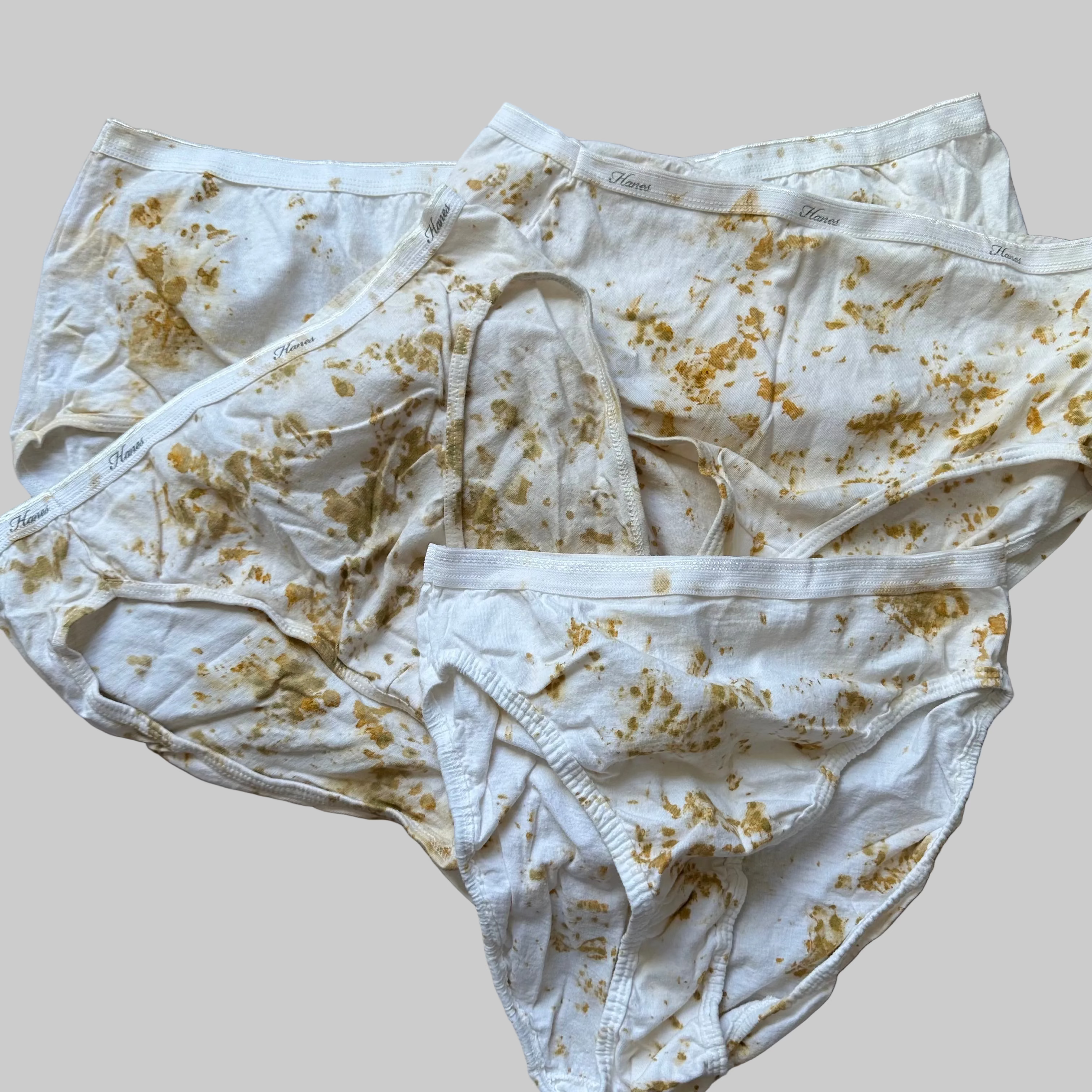 Eco-Dyed Women's Full Coverage Bikini Brief Underwear