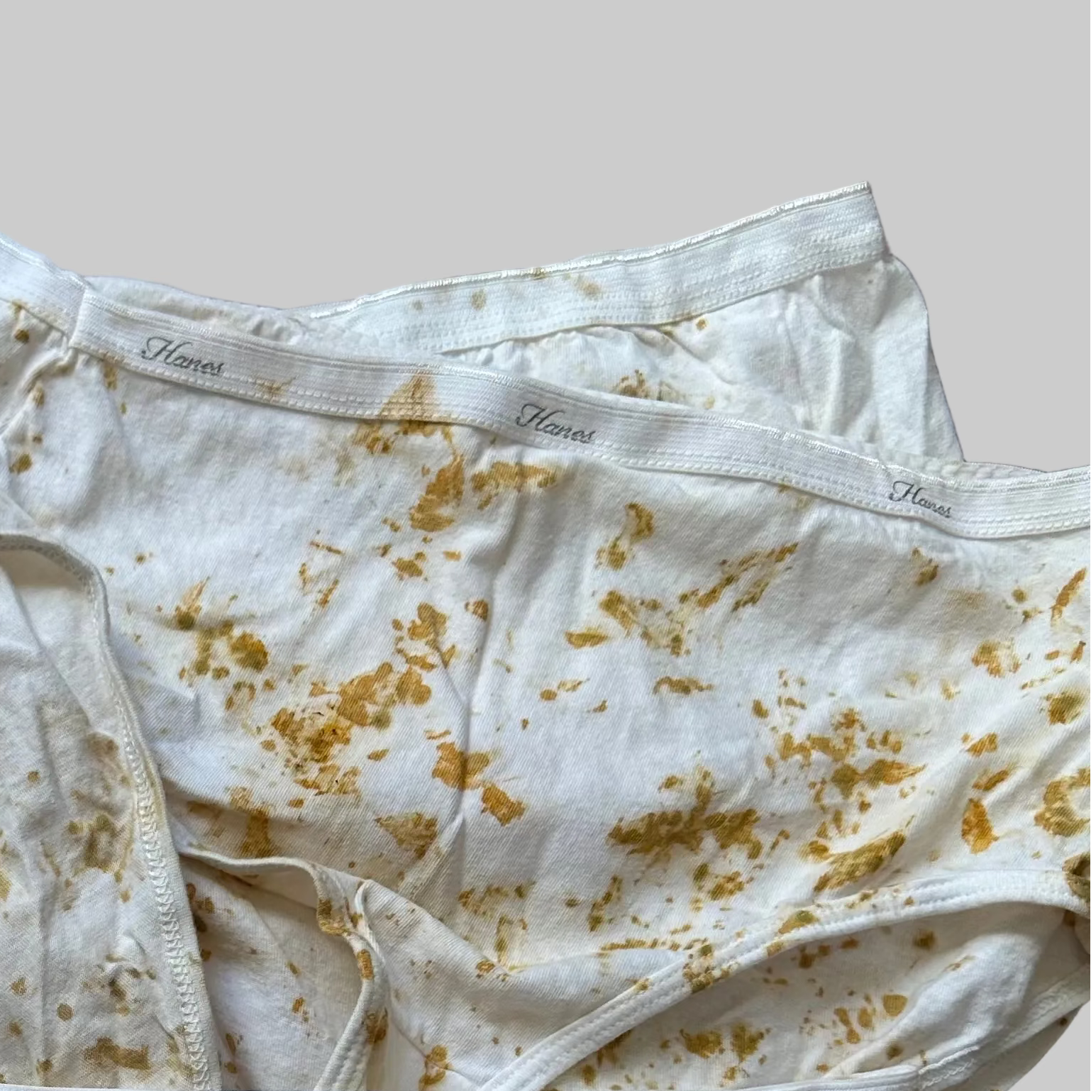 Eco-Dyed Women's Full Coverage Bikini Brief Underwear