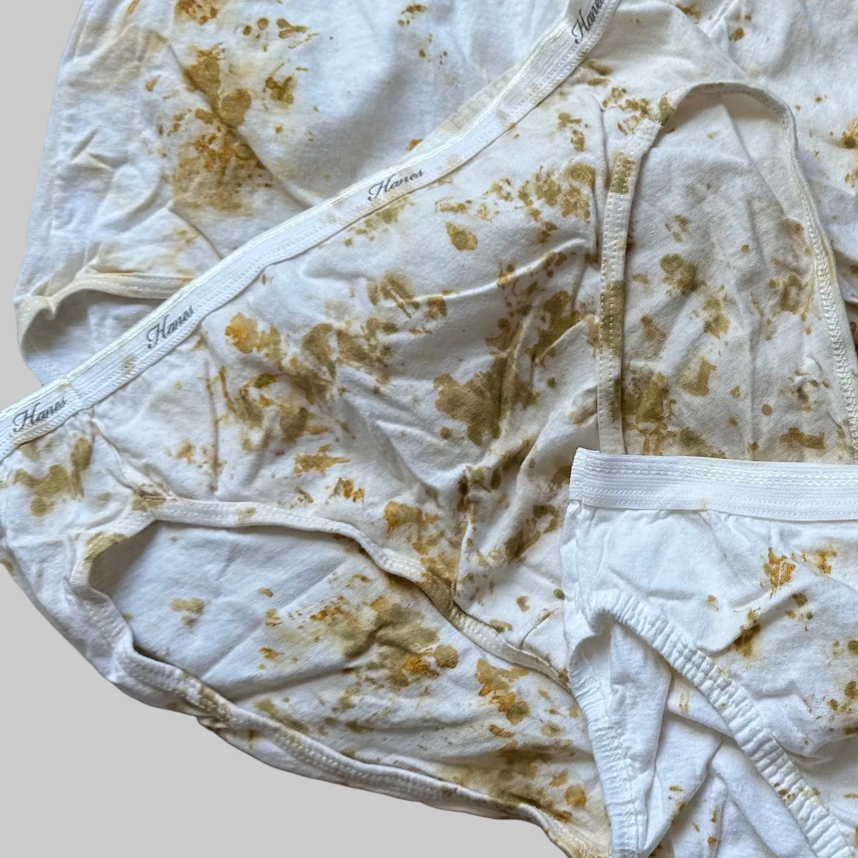 Eco-Dyed Women's Full Coverage Bikini Brief Underwear