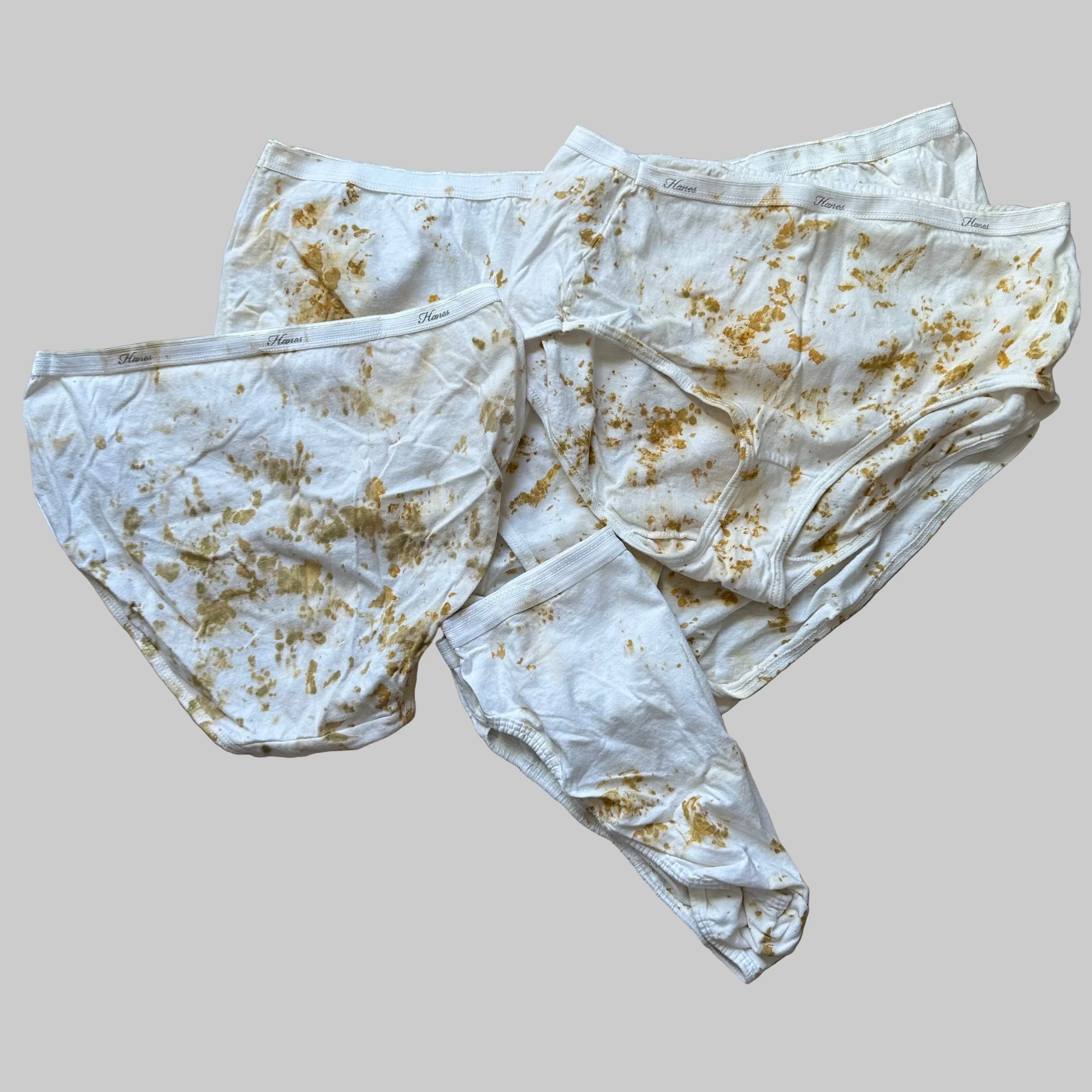 Eco-Dyed Women's Full Coverage Bikini Brief Underwear