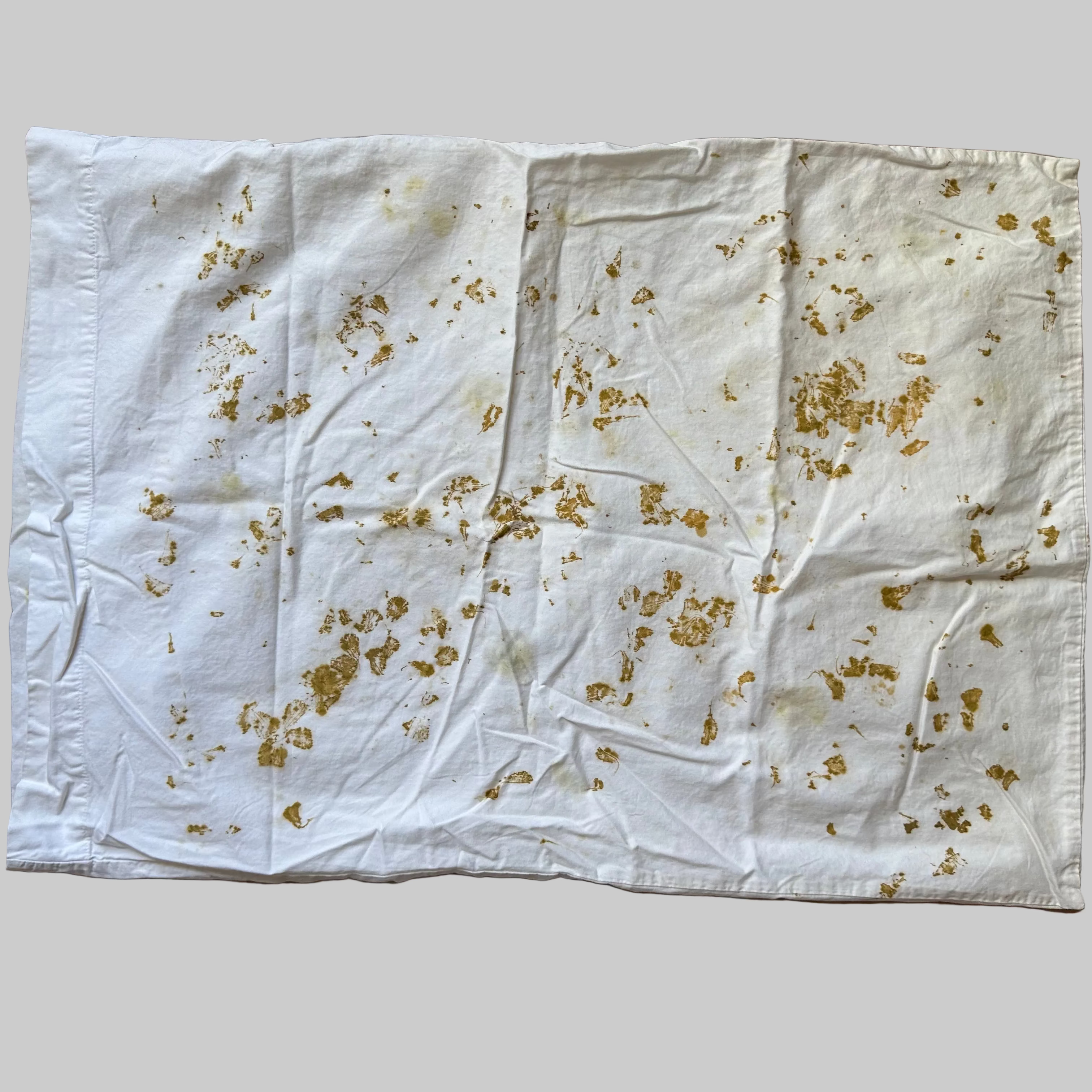 Eco Printed Cotton Standard Pillow Case | 18in x 26 in