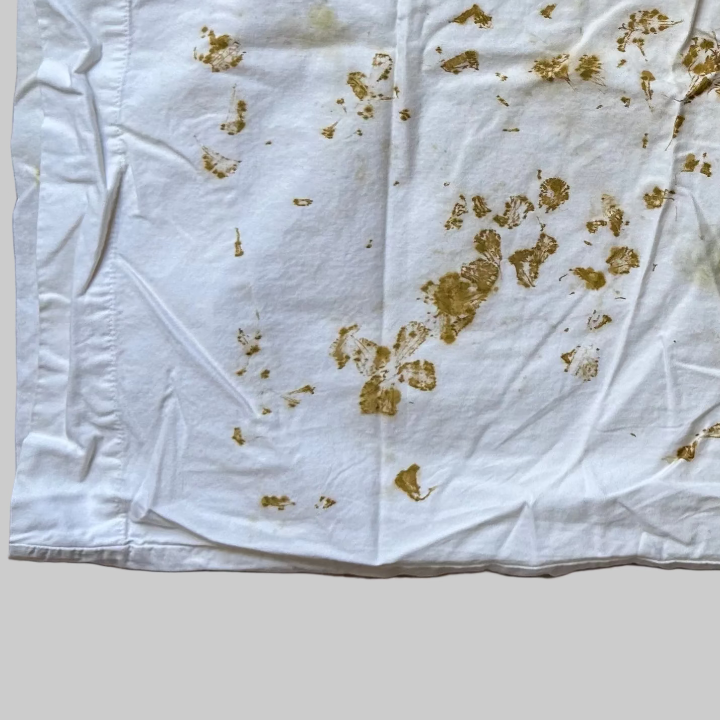 Eco Printed Cotton Standard Pillow Case | 18in x 26 in